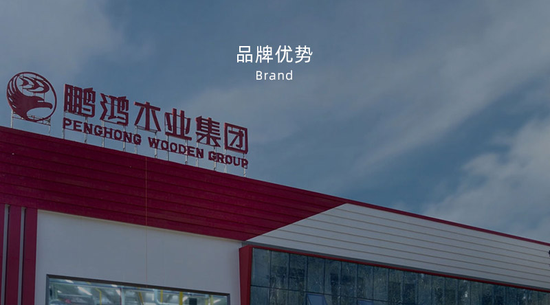 板材品牌、全屋定制品牌、生態(tài)板十大品牌